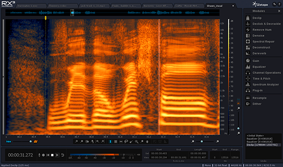 bassgorilla izotope rx3 pogomix
