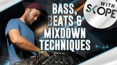 BASS BEATS MIXDOWN TECHNIQUES WITH MALUX